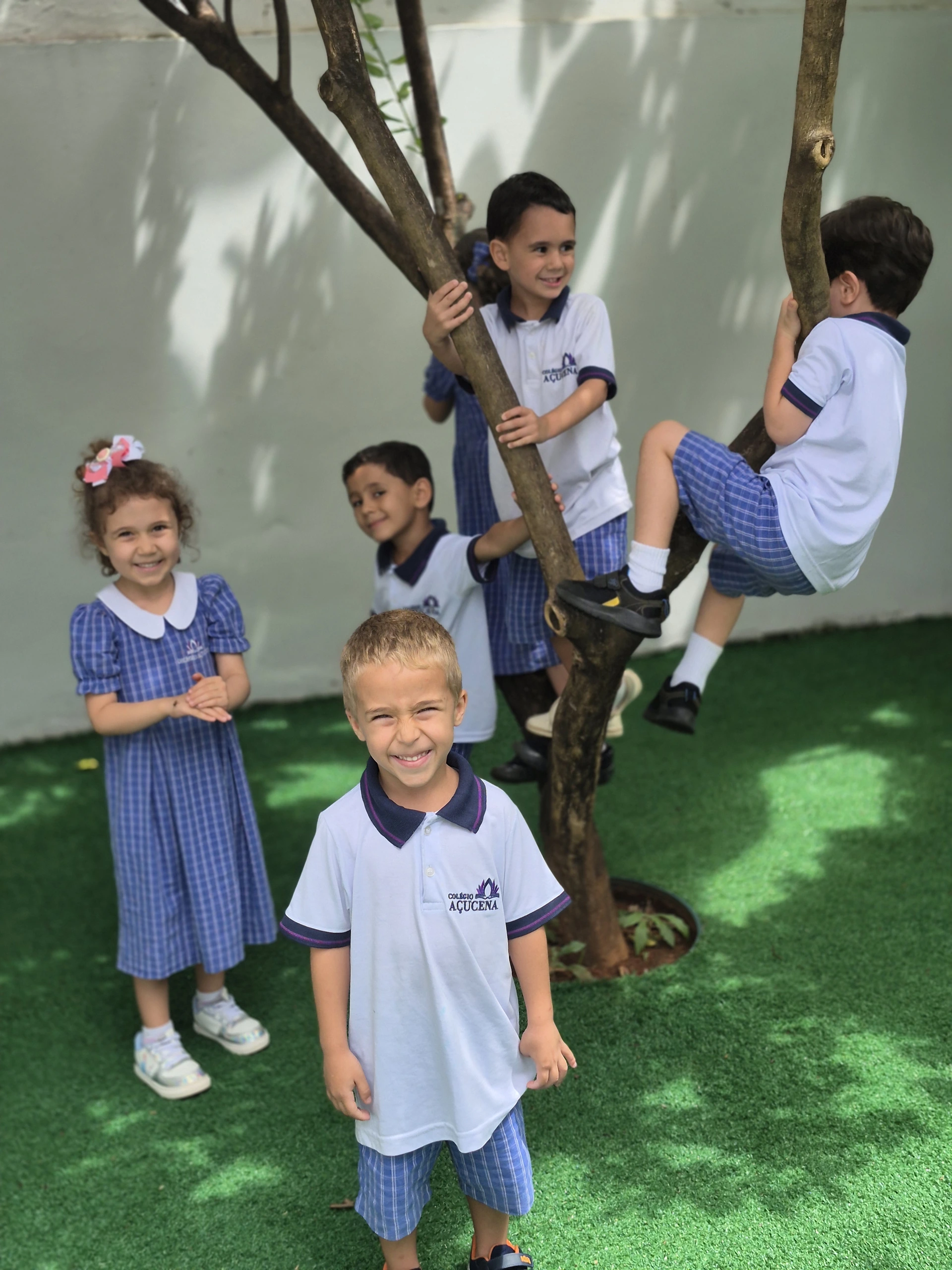 Crianças do Colégio Açucena sorrindo ao redor de uma árvore no gramado da escola